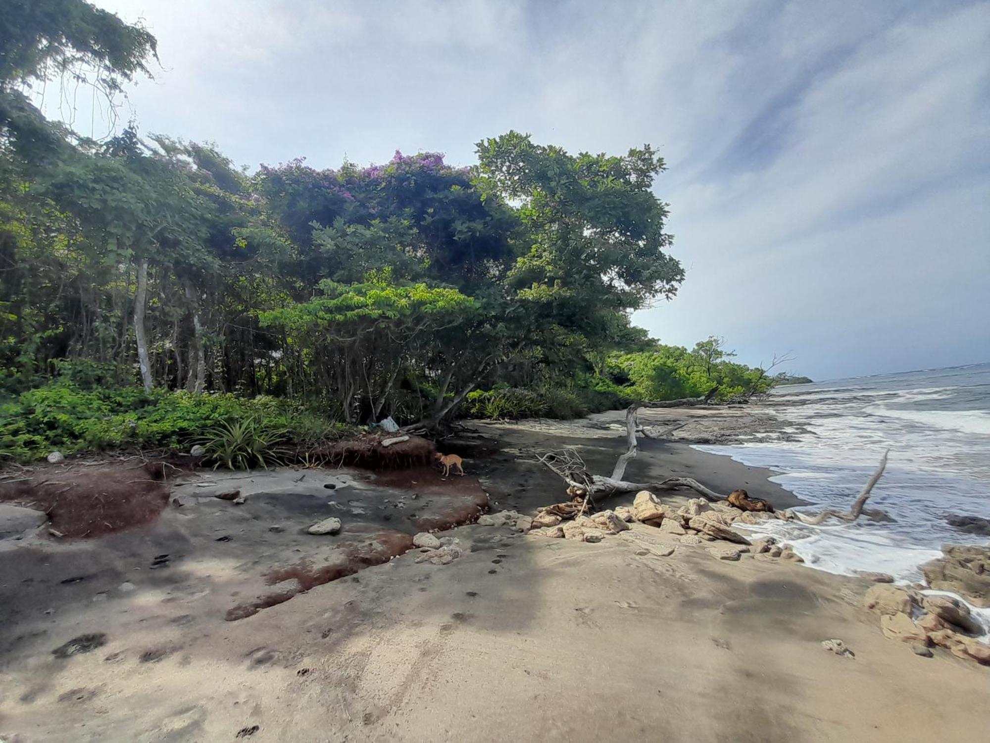 Hotel Cabinas La Playa Playa Avellana Zewnętrze zdjęcie