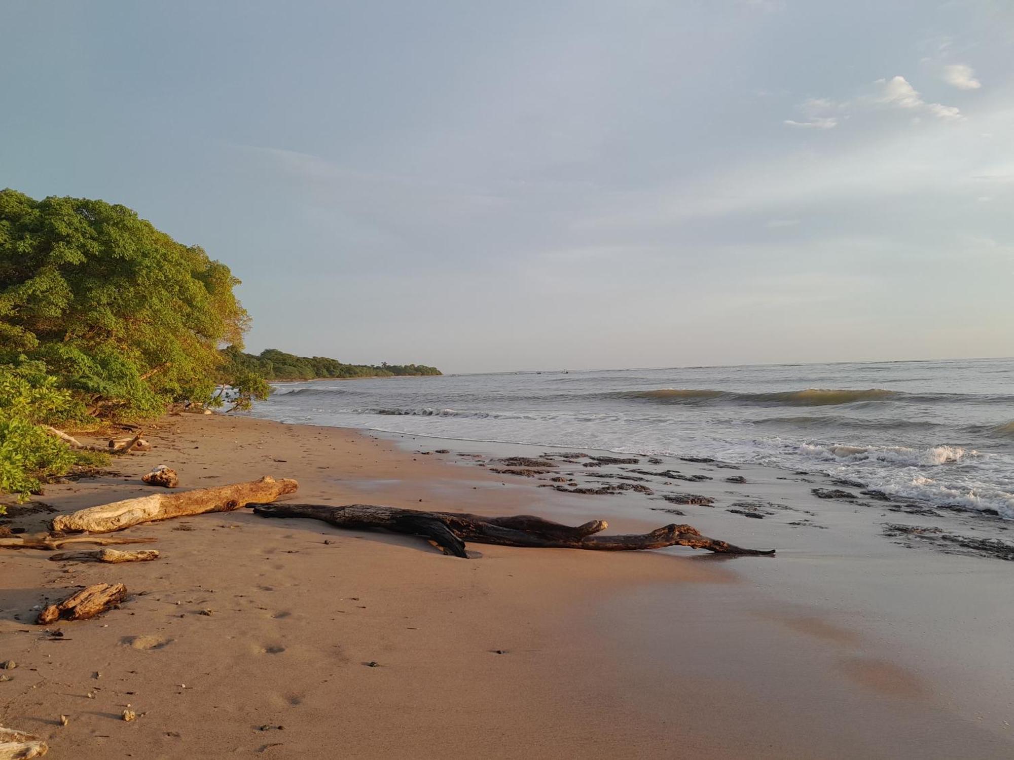 Hotel Cabinas La Playa Playa Avellana Zewnętrze zdjęcie