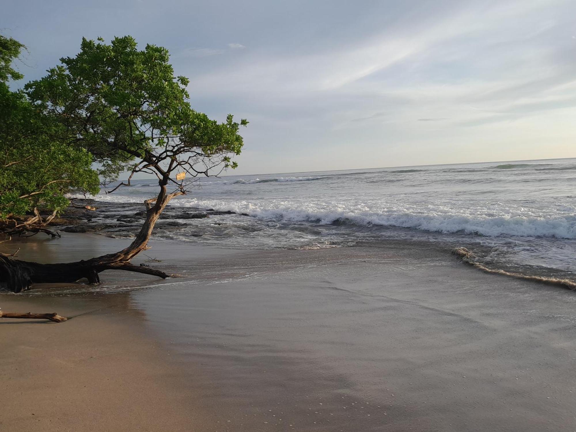 Hotel Cabinas La Playa Playa Avellana Zewnętrze zdjęcie