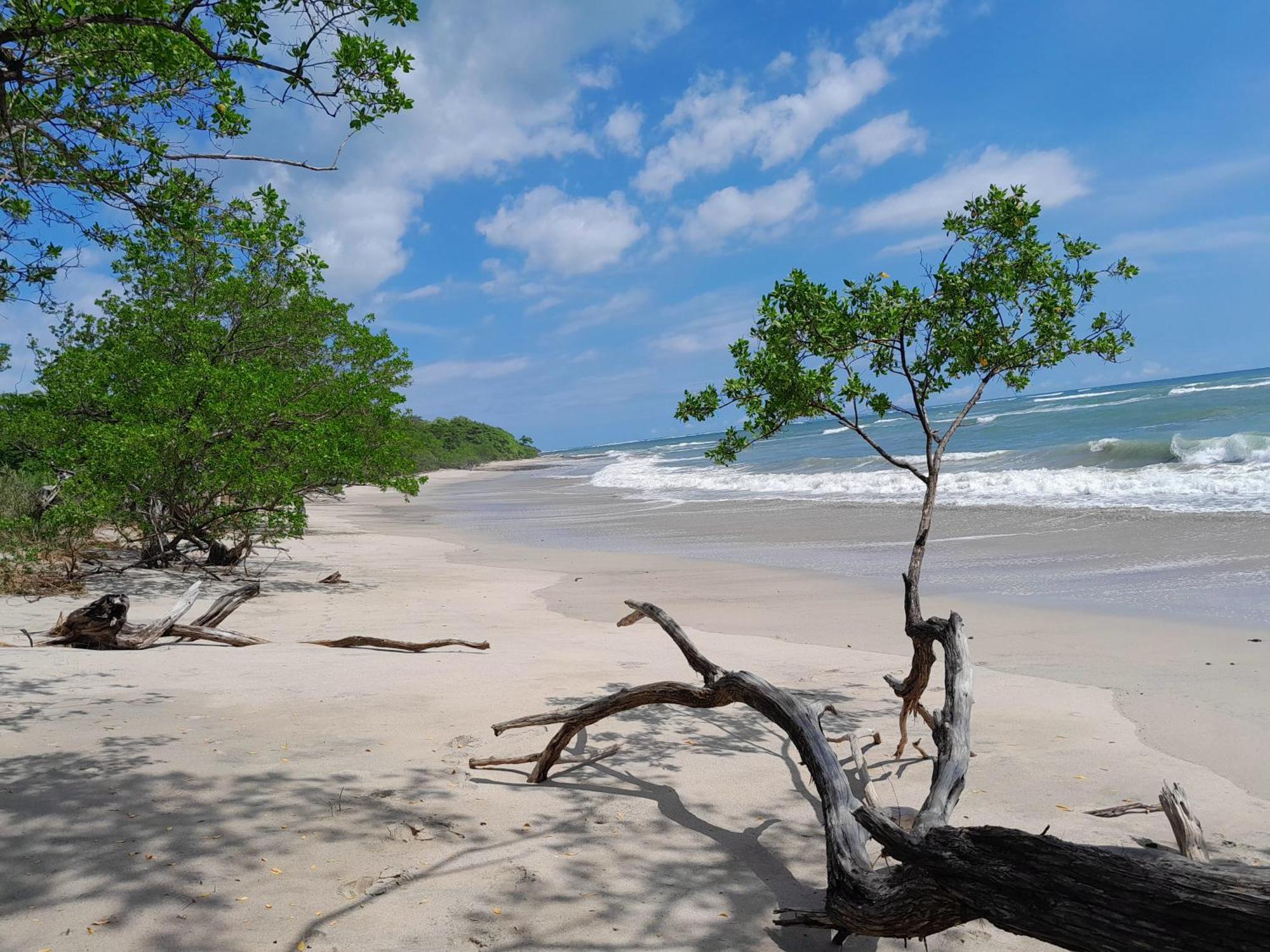 Hotel Cabinas La Playa Playa Avellana Zewnętrze zdjęcie