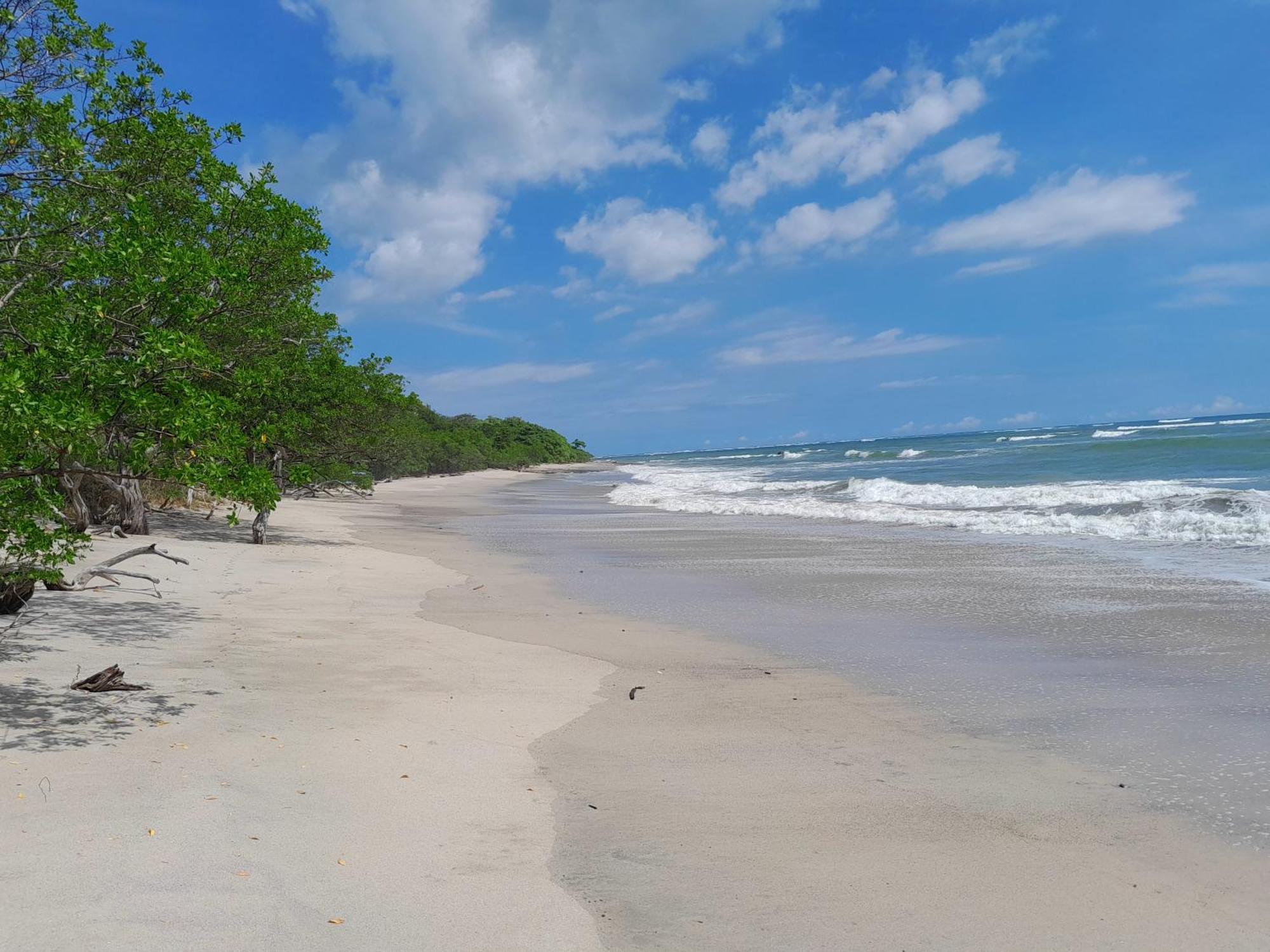 Hotel Cabinas La Playa Playa Avellana Zewnętrze zdjęcie